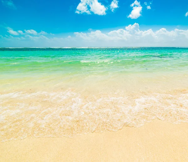 Färgglada stranden i Guadeloupe — Stockfoto