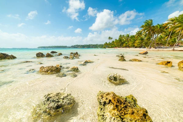 Palm trees and clear water in La Caravelle beach — Stock Photo, Image