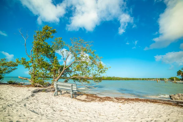 Felhők Florida Keys Partjainál Usa — Stock Fotó