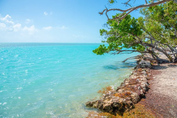 Türkiz Tenger Itt Florida Keys Shore Usa — Stock Fotó