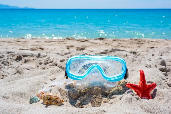 Potápěčská Maska Mušle Pláži Létě — Stock fotografie