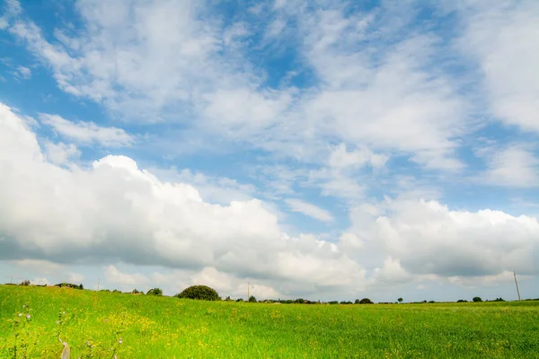 Wolken Een Groene Weide Lente Sardinië Italië — Stockfoto