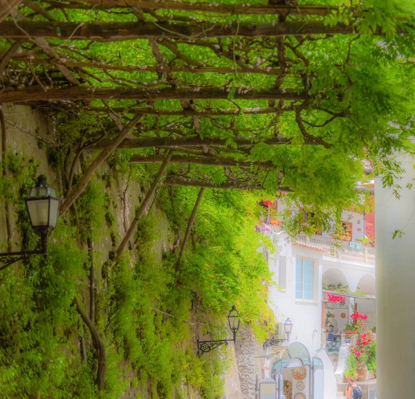 Grüne Laube Mit Weißen Gebäuden Hintergrund Positano Amalfiküste Italien — Stockfoto