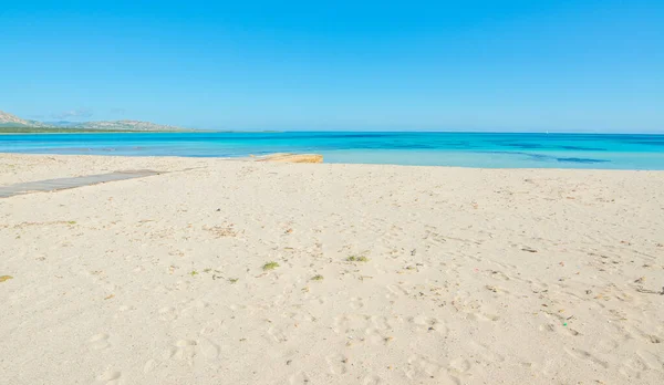 Bílý Písek Modré Moře Stintinu Sardinie Itálie — Stock fotografie