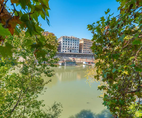 イタリア ローマの緑の葉を通して見られるティバー川 — ストック写真