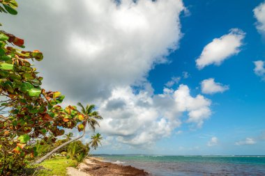 Guadeloupe, Karayip Denizi 'ndeki Autre Bord plajında bulutlar