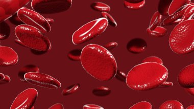 Çeşitli kan hücrelerinin 3D çizimi 