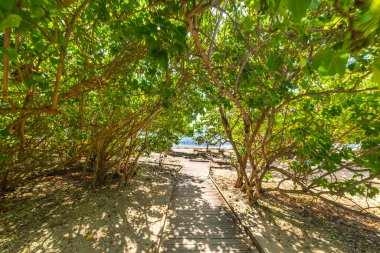 Guadeloupe sahiline tahta tahta kaldırım, Fransız Batı Hint Adaları. Daha Küçük Antiller, Karayip Denizi