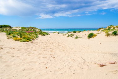 Platamona sahilinde beyaz kum. Sardunya, İtalya