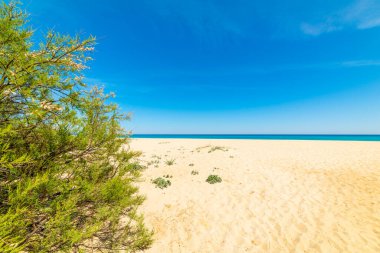 İtalya, Sardunya 'daki Cala Sinzias' ın üzerinde mavi gökyüzü