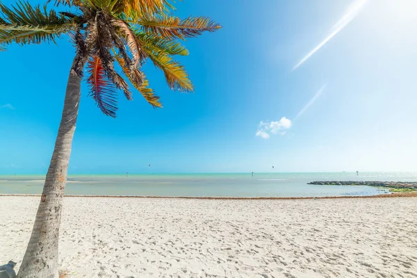 Plaża Smathers Słoneczny Dzień Key West Stany Zjednoczone — Zdjęcie stockowe