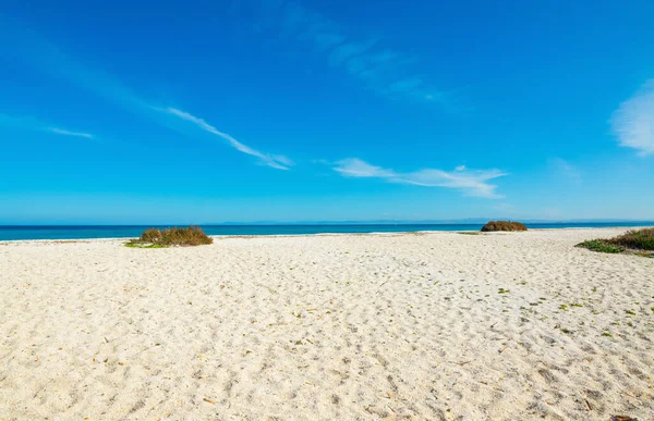 Błękitne Niebo Nad Brzegiem Stintino Sardynia Włochy — Zdjęcie stockowe