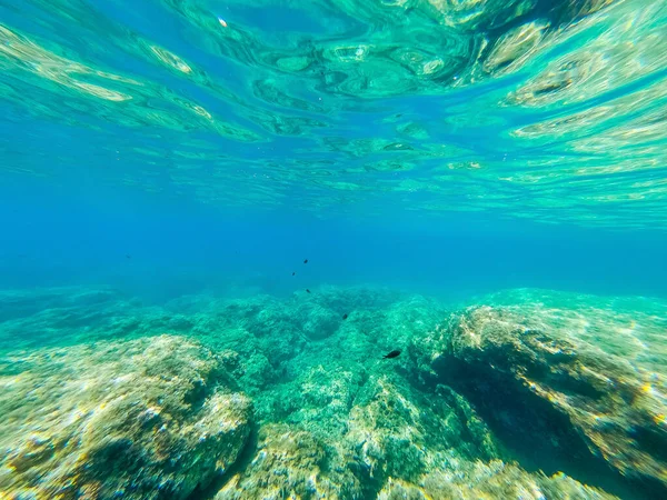 Vista Subaquática Peixes Rochas Costa Alghero Sardenha Itália — Fotografia de Stock