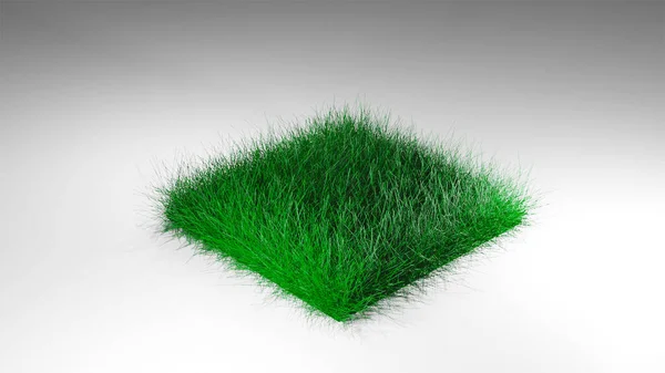 Clump Grass Isolated White Background Illustration — Stock Photo, Image