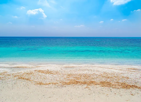 Wit Zand Turquoise Zee Stintino Sardinië Italië — Stockfoto