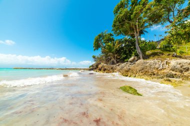 La Datcha sahilinde mavi deniz. Guadeloupe, Karayip Denizi