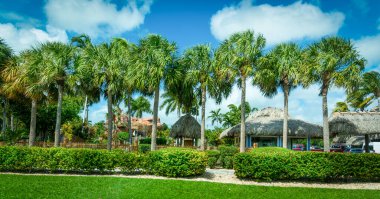 Florida Keys, ABD 'de bulutlu bir gökyüzünün altındaki palmiye ağaçları