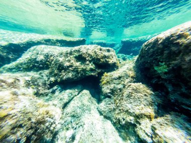 Alghero sahilinde kayalar ve berrak su. Sardunya, İtalya