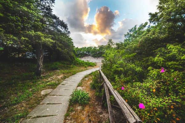 Gångväg Alghero Strand Vid Solnedgången Sardinien Italien — Stockfoto