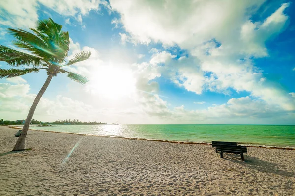 Banco Madera Playa Sombrero Amanecer Florida Keys Estados Unidos — Foto de Stock