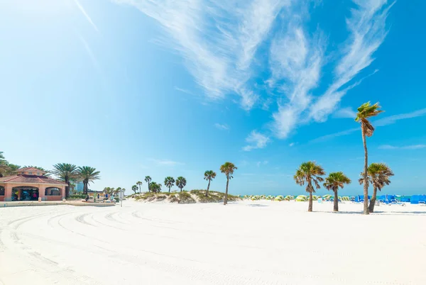 Wit Zand Clearwater Strand Florida Verenigde Staten — Stockfoto