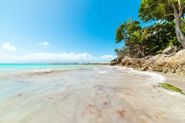 Bue Sky Datcha Beach Guadalupe French West Indies Inglés Guadalupe — Foto de Stock