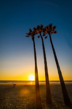 Günbatımında Newport Sahili 'nde üç palmiye. Orange County, Güney Kaliforniya