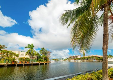 Fort Lauderdale 'deki Las Olas Adaları' nda palmiye ağaçları ve lüks evler. Florida, ABD