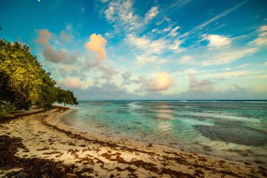 Bois Jolan sahilinde gün batımı, Guadeloupe, Fransız Batı Hint Adaları. Guadeloupe, Karayip Denizi 'ndeki Küçük Antiller' in bir parçasıdır.