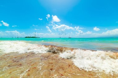 Guadeloupe, Karayip Denizi 'ndeki güzel La Datcha plajında mavi gökyüzü