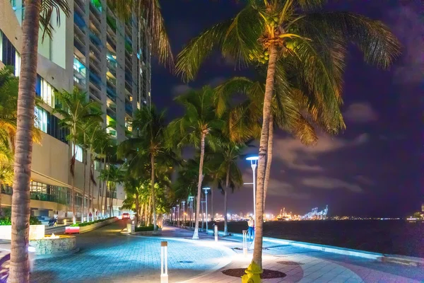 Palmbomen Wolkenkrabbers Miami Riverwalk Nachts Southern Florida Verenigde Staten — Stockfoto