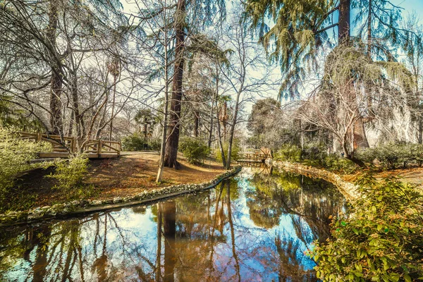 Пруд Деревья Парке Buen Retiro Мадриде Испания — стоковое фото