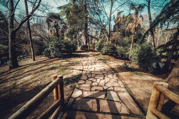 Sentiero Piedi Nel Parco Buen Retito Madrid Spagna — Foto Stock