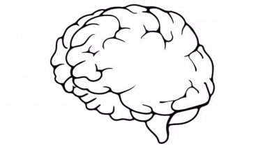 Beyin beyaz tahtası animasyon 4k görüntü