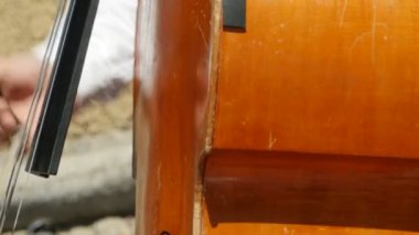 Kontrbas kapatmak için oynarken müzisyen