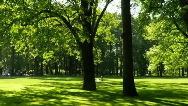 les gens marchent et se détendent sur la pelouse à l'ombre d'un parc verdoyant, caméra en mouvement 
