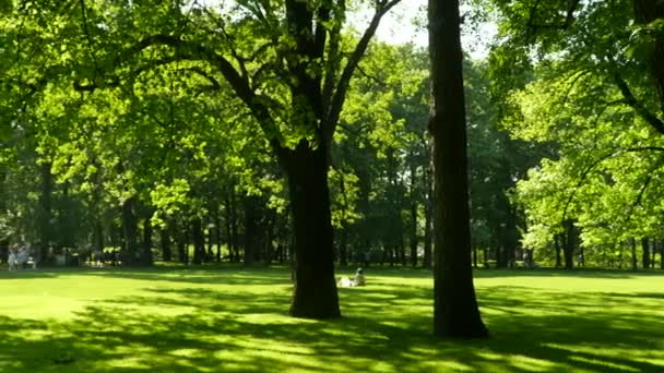 Pessoas Caminham Relaxam Gramado Sombra Parque Verde Câmera Movimento — Vídeo de Stock