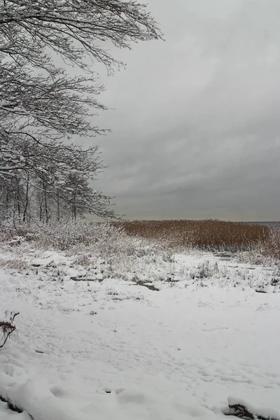 Lago orilla invierno paisaje — Foto de Stock