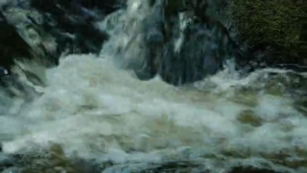 Бурхливий Водяний Лісовий Потік Камера Русі — стокове відео