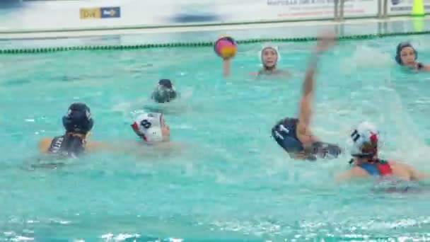 San Petersburgo Rusia Mayo 2018 Waterpolo Liga Mundial Equipo Nacional — Vídeo de stock