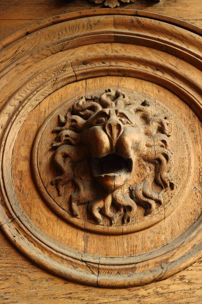 Lion head bas-relief — Stock Photo, Image