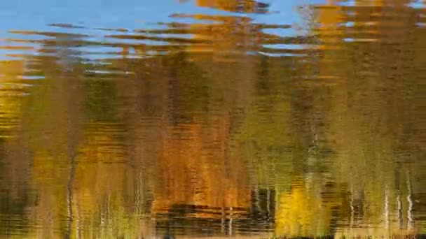 Gele Herfst Bos Weerspiegeld Water Abstracte Achtergrond — Stockvideo