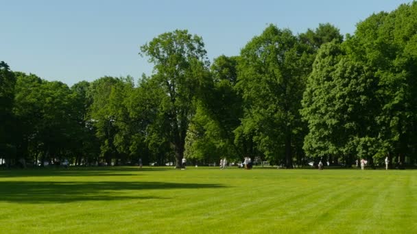 Panorama Mooi Groen Park Mensen Lopen Schaduw Van Bomen Zomerdag — Stockvideo