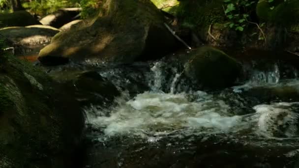 Mountain Stream Huge Boulders Slow Motion — Stock Video