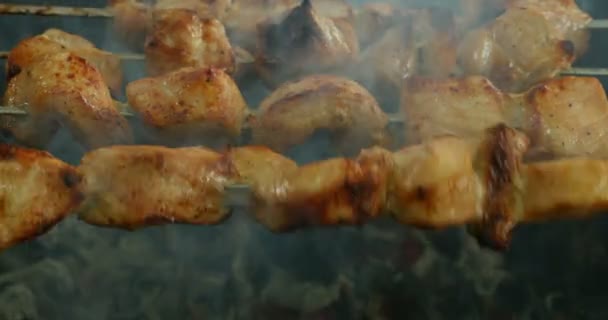 Ζουμερό Σουβλάκι Κομμάτια Κρέας Στα Οβελίδια Μια Κατακόκκινη Κρούστα — Αρχείο Βίντεο
