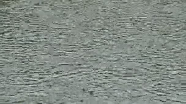 Regensturm Kreise Auf Dem Wasser Abstrakter Hintergrund — Stockvideo