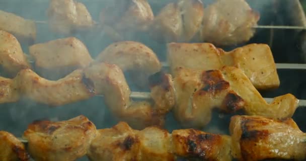 Viande Sur Brochettes Est Frit Sur Charbon Macro Shot — Video