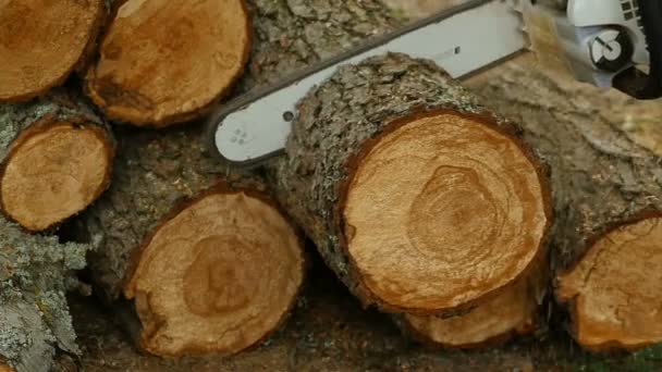 Tronçonneuse Nous Avons Des Billes Pour Bois Chauffage Ralenti — Video