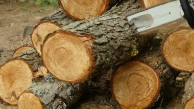 günlükleri yakacak odun, ağır çekim için testere testere