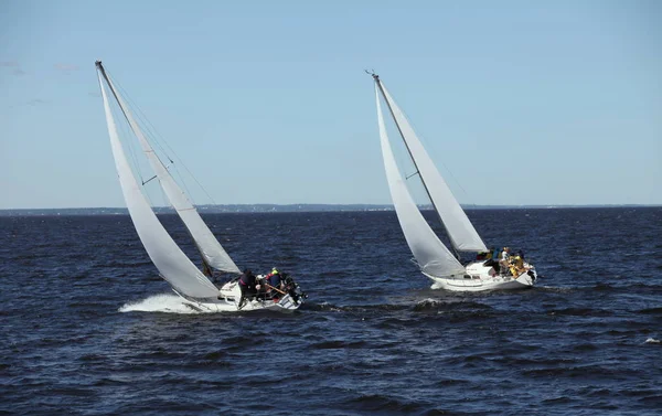 Regatta sailing yachts — Stock Photo, Image